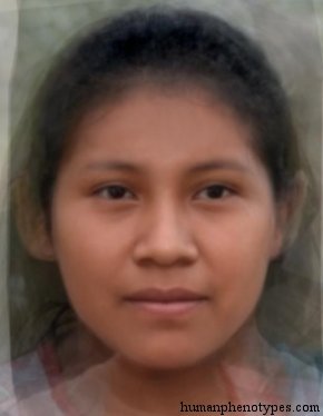 North Amazonid — ♀ female