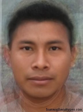 North Amazonid