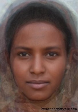 North Ethiopid — ♀ female
