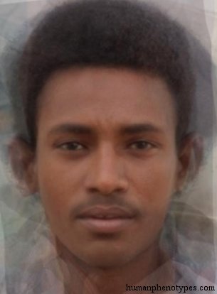 North Ethiopid