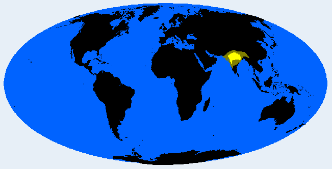 North Gondid distribution