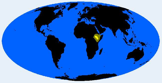 Omotic distribution