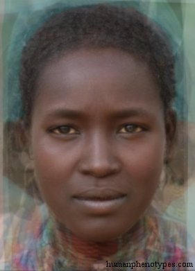 Omotic — ♀ female