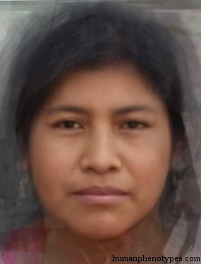 Pampid — ♀ female