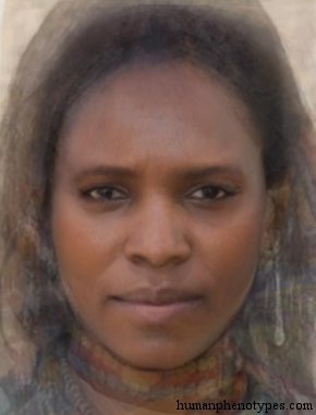Proto Ethiopid — ♀ female