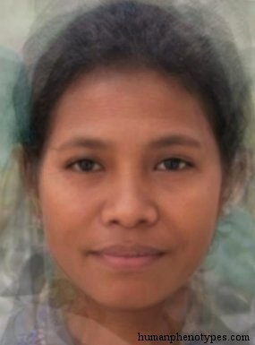 Proto Malayid — ♀ female