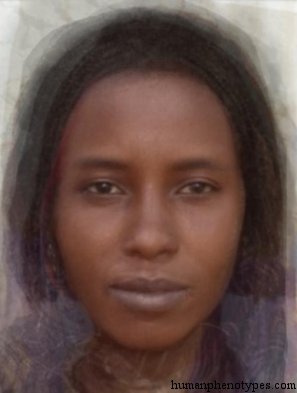 Saharan Ethiopid — ♀ female