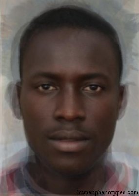 Senegalid