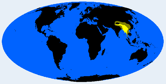 Shanid distribution