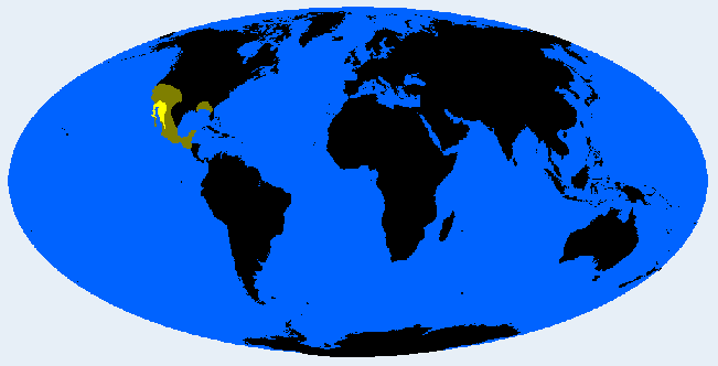 Sonorid distribution