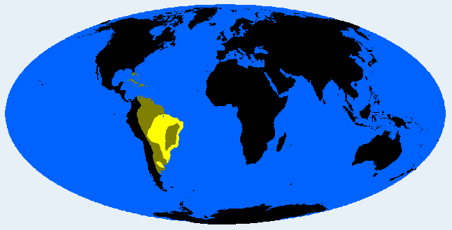 South Amazonid distribution