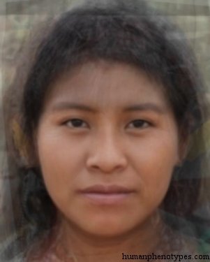 South Amazonid — ♀ female