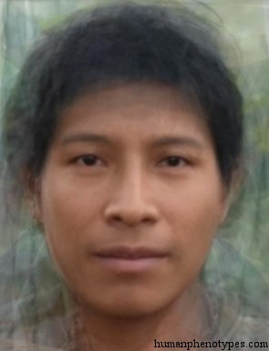 South Amazonid