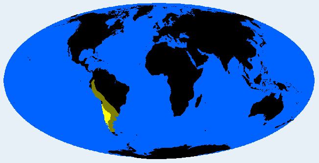 South Andid distribution
