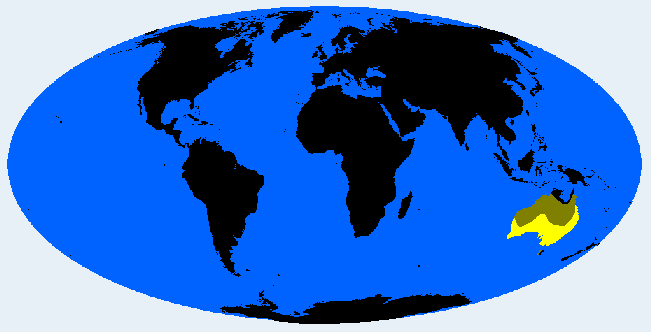 South Australid distribution