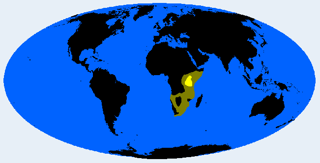 South Ethiopid distribution