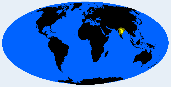 South Gondid distribution