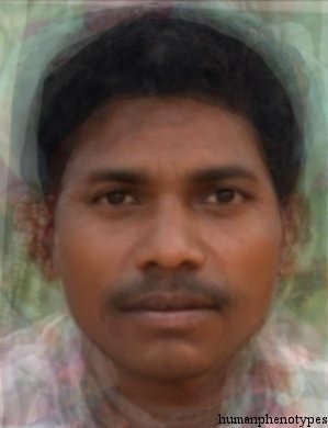 South Gondid