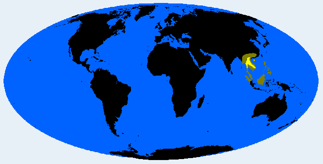 South Palaungid distribution