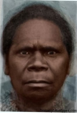 Tasmanid — ♀ female