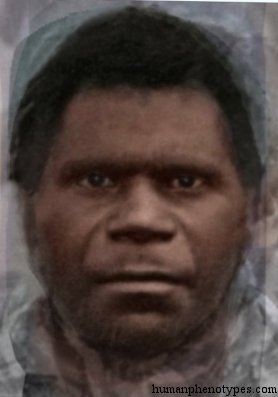 Tasmanid