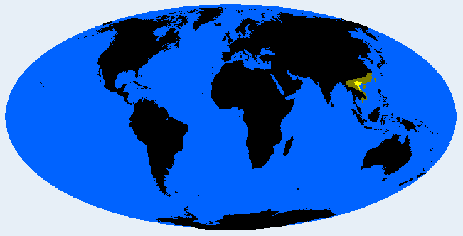 Tonkinesid distribution