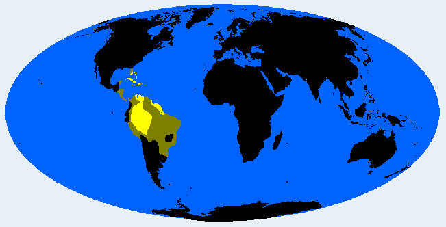 West Amazonid distribution