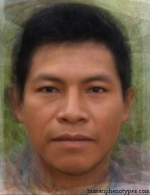 West Amazonid
