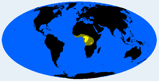 West Congolesid distribution