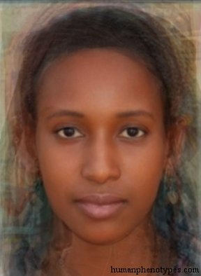West Ethiopid — ♀ female