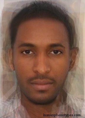 West Ethiopid